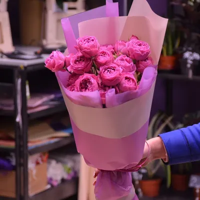 Букет 7 красных роз Эквадор 60см в ленте купить в Новосибирске | «Первый  цветочный Новосибирск»
