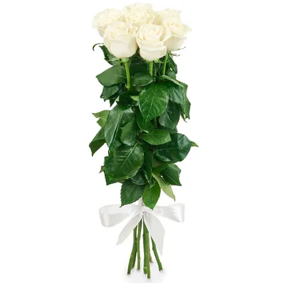 Нежный букет из 7 белых роз в Оренбурге купить, заказать с доставкой - Fleur