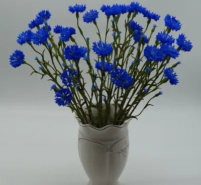 Купить букет из васильков, цветы с доставкой Киев