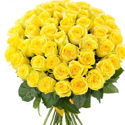 Букет из желтых роз с ирисами - Арт. 1218