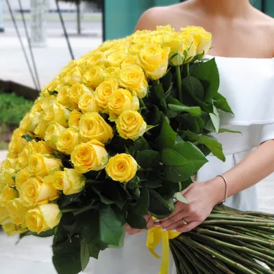 Букет из 21 желтых роз в шляпной коробке купить с доставкой по Минску -  Acuba di Flora