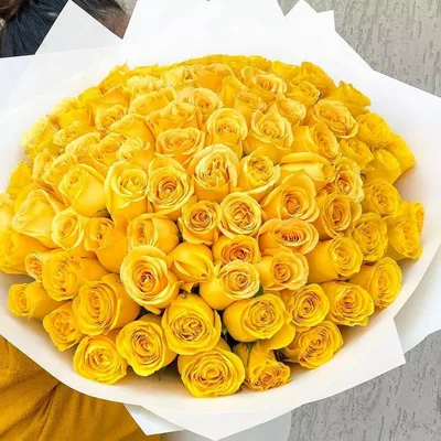 Букет из желтых роз (101 шт) купить с доставкой в интернет-магазине за  10008р. Позиция № 131
