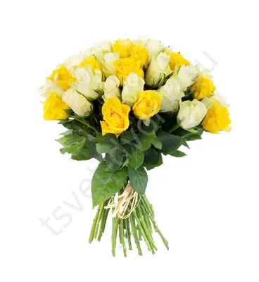 Букет из желтых роз 40 см в упаковке, артикул: 333086208, с доставкой в  город Москва (внутри МКАД)