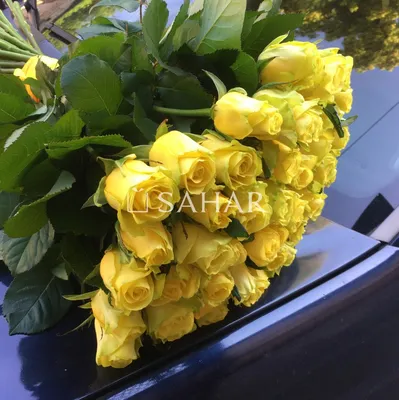 Букет из 15 желтых роз - купить в Москве по цене 1490 р - Magic Flower