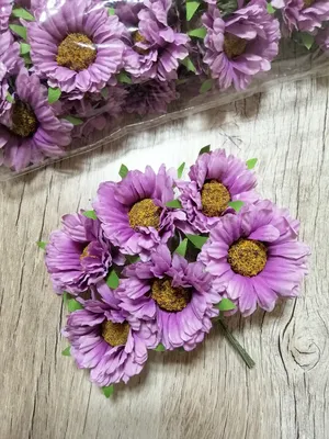 букет маргаритки 6 цв.(фиолетовый) 20см (В082)