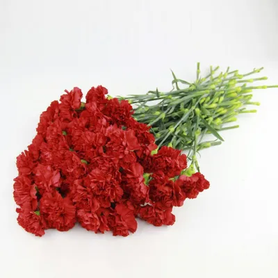 Букет на похороны «Красная роза» (V123) - купить в RITUAL.BY (V123)