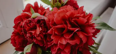 Букет на похороны «Розовая роза» (V114) - купить в RITUAL.BY (V114)