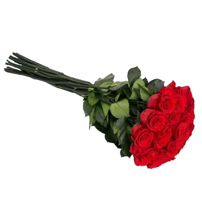 Какие цветы купить на похороны мужчине, женщине? Статьи интернет-магазина  VenkiRitual, г. Москва