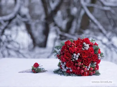 Волшебное зрелище: букет цветов на снегу