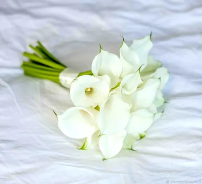 Купить букет невесты из белых роз №402 недорого с доставкой по  Екатеринбургу - Свой Цветной