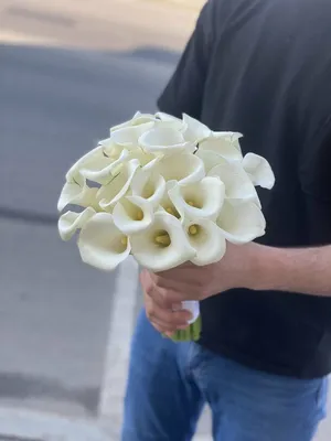 Букет невесты из кремовых роз с эвкалиптом - купить с доставкой в Омске -  LAVANDA