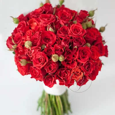 Букет невесты из красных роз | Букет невесты купить | Свадебный букет  купить | Интернет магазин цветов dakotaflora.com