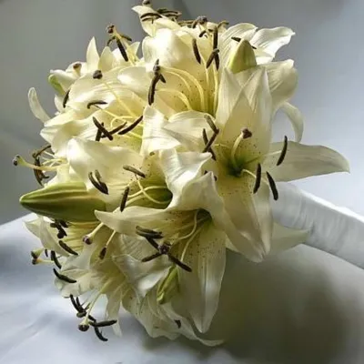 Букет невесты из белых роз и эвкалипта №979 купить в Саранске