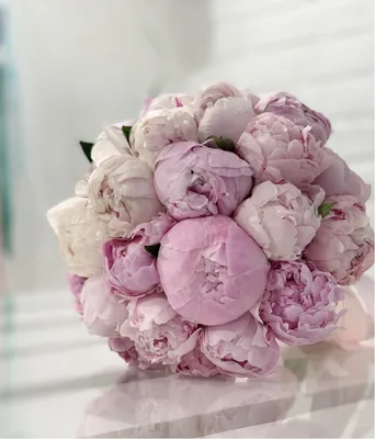 Свадебный букет из нежно-розовых пионов | Букет невесты купить | Свадебный  букет купить | Интернет магазин цветов dakotaflora.com