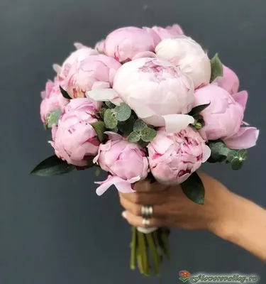 Букет невесты 25 розовых пионов на свадьбу | Доставка пионов P.I.O.N.O.V.O