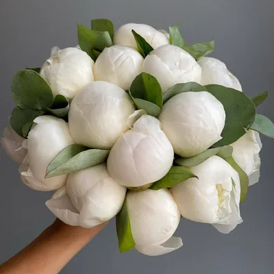 Букет невесты из белых пионов - 15 шт. за 19 690 руб. | Бесплатная доставка  цветов по Москве