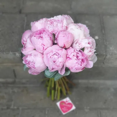 bridal bouquet with soft pink peonies Букет невесты с роскошных  нежно-розовых пионов http://lflo… | Vintage bouquet wedding, Bridal  bouquet, Flower bouquet wedding