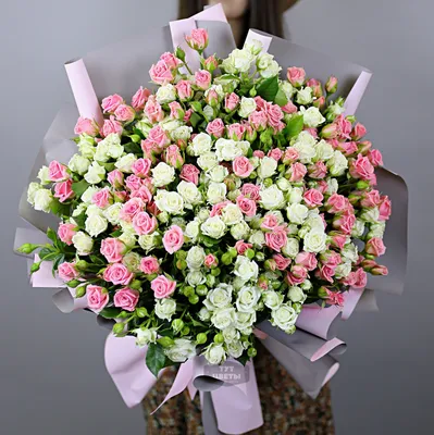 Купить 51 красно-белую розу 80 см с доставкой в Москве | цветы-24.москва