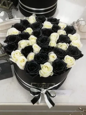 Высокие белые розы в букете (51 штука) – заказ с доставкой через интернет