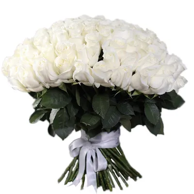 51 роза в Тюмени — заказать с доставкой, купить букет из 51 розы | Lafaet