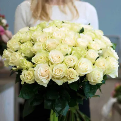 Купить Букет из 51 белой розы в Ефремове за 8 100 руб. | Быстрая доставка  цветов