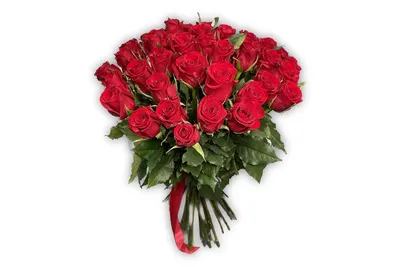 Купить букет красных роз Ред Наоми 51 штука (50см + лента) недорого с  доставкой в Московской области | Дом Роз
