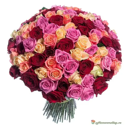 51 розовая роза Фрутетто (Эквадор) купить с доставкой в Москве | Заказать  букет цветов недорого