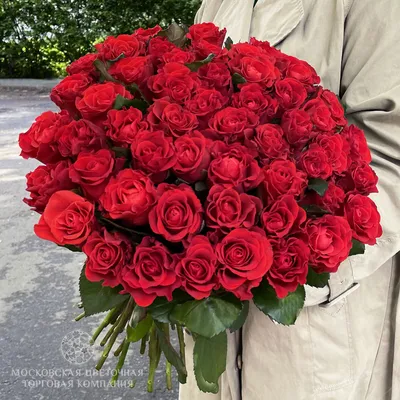 Букет из 51 бордовой розы №509 большого размера купить в Москве с доставкой  недорого | Цветочка