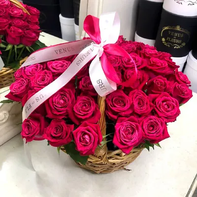 Роза Кения красная 51 штука в упаковке по цене 5488 ₽ - купить в RoseMarkt  с доставкой по Санкт-Петербургу