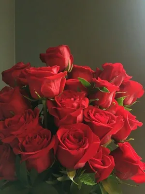 Розы любительское (79 фото) »
