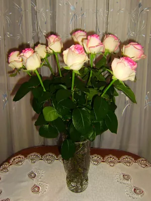 Букет белых роз домашнее: фото, изображения и картинки