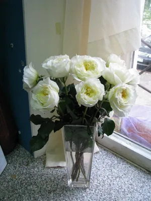 Флорида, цветочная мастерская в Омске — отзыв и оценка — Михаил Степанов
