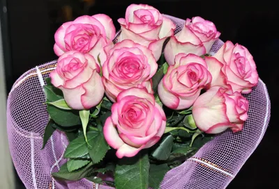 Букет «55 роз» с доставкой | Купить букет из красных роз (55 штук)
