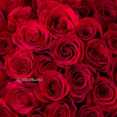 Букеты с сушеными цветами из маленьких роз, домашнее украшение «сделай  сам», композиция с цветами, подарок на день Святого Валентина, День  рождения, натуральная сушка на воздухе | AliExpress