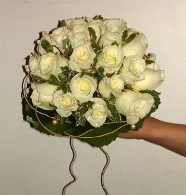 Роза -цветок любви и красоты!. Обсуждение на LiveInternet - Российский  Сервис Онлайн-Дневников