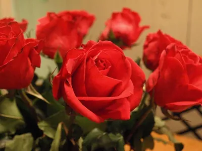Букет роз дома - красивые фото