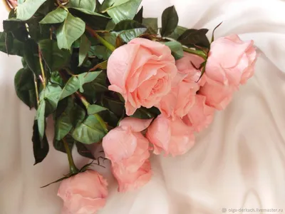 Букет роз на кровати фото фотографии