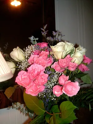 Скачать обои цветы, бутоны, розы, лепестки, красные разрешение 3065x2245  #222678