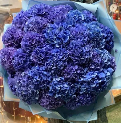 Букет с голубой гортензией, белыми орхидеями и розовыми розами - купить с  доставкой в Омске - LAVANDA