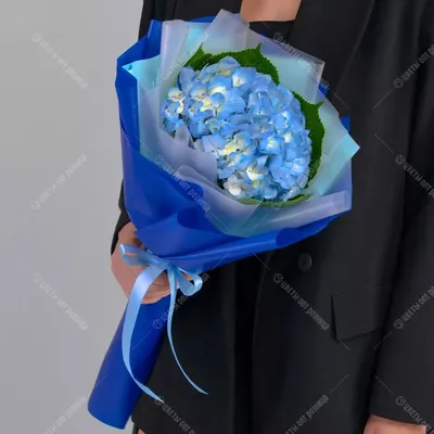 Букет с голубой гортензией и голубыми тюльпанами - купить с доставкой от  ElitBuket