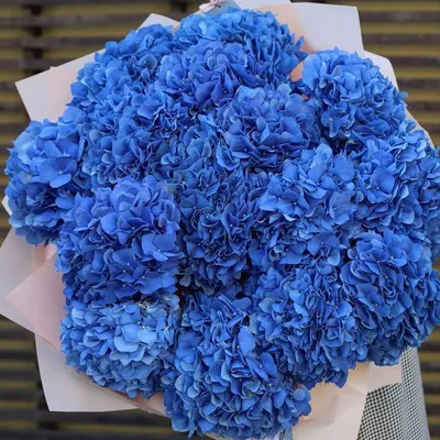 Купить букет синей гортензии 12900 р в интернет магазине Модный букет с  доставкой по Москве