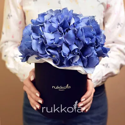 Букет из 5 голубых гортензий в пленке - купить в Москве по цене 3290 р -  Magic Flower