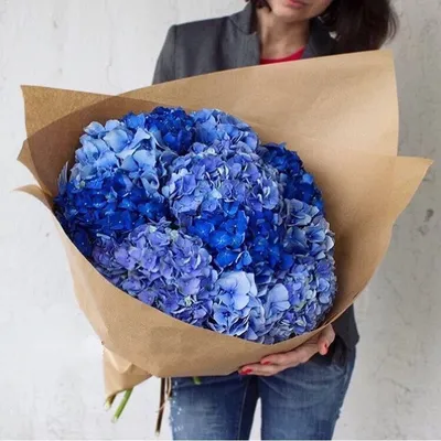 Синяя гортензия в маленькой черной коробке купить с доставкой в Москве |  Заказать букет цветов недорого