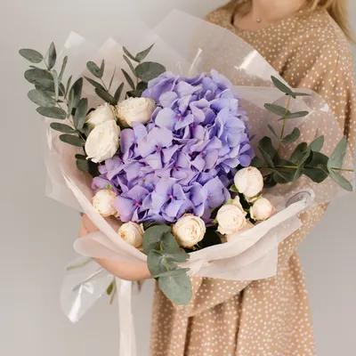 1 голубая гортензия - Доставкой цветов в Москве! 21215 товаров! Цены от 487  руб. Цветы Тут