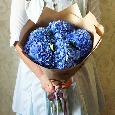 5 синих гортензий в букете за 7 290 руб. | Бесплатная доставка цветов по  Москве