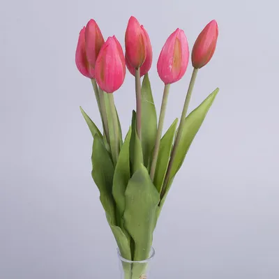 Букет тюльпанов \"Розовый и белый микс\" купить в Краснодаре с доставкой