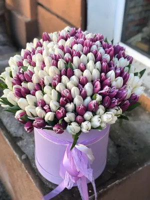 Букет красных тюльпанов 101 шт. | Flowers Valley