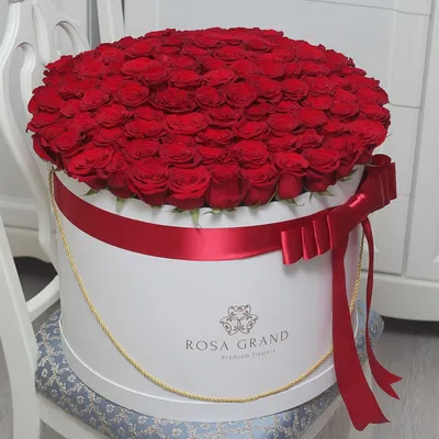 101 роза \"Belle Rose\". Букет из 101 розы 40 см. Купить цветы