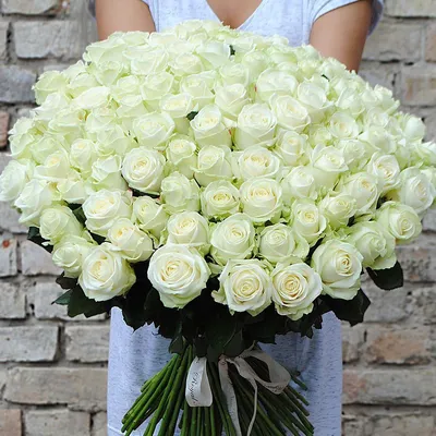 Букет из 25 роз \"Белые розы\", артикул: 200538 в интернет магазине  EnjoyFlowers.ru ❀ с доставкой по Москве