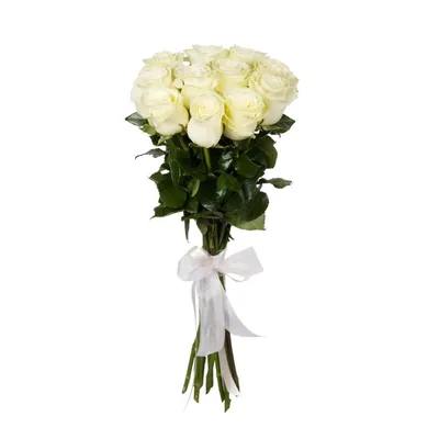 1️⃣ Букет из 7 белых роз – заказать в Алматы | доставка Pro-buket